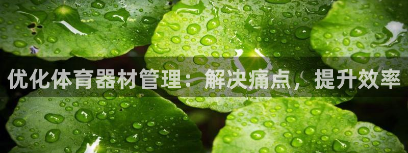 极悦平台是什么公司：优化体育器材管理：解决痛点，提升