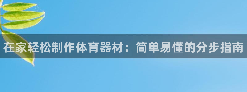 极悦平台和蓝狮平台区别大吗：在家轻松制作体育器材：简