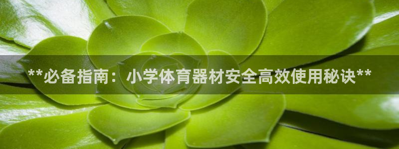 极悦官网入口登录网址