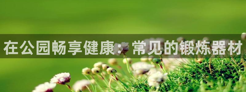 极悦平台注册和登录页面一样吗：在公园畅享健康：常见的