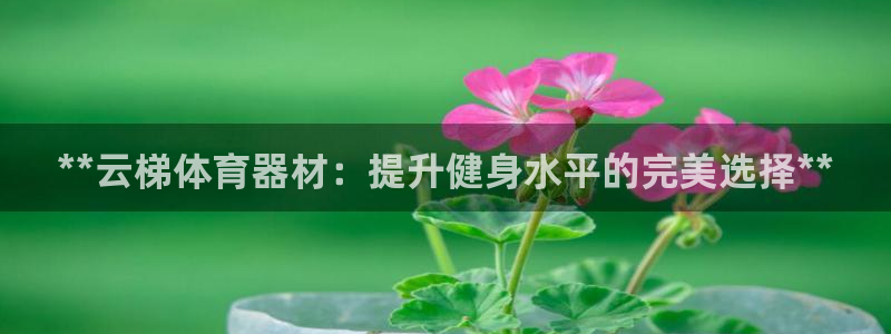 极悦平台官网入口登录：**云梯体育器材：提升健身水平