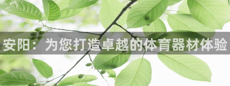 极悦娱乐官网APP下载：安阳：为您打造卓越的体育器材