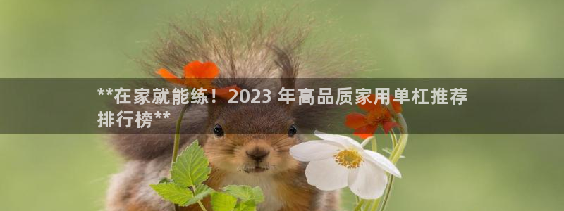 极悦平台创始人背景故事：**在家就能练！2023 年