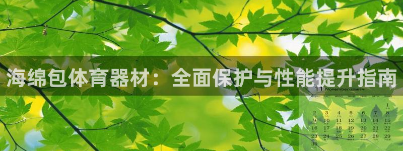 极悦平台是干嘛的软件：海绵包体育器材：全面保护与性能