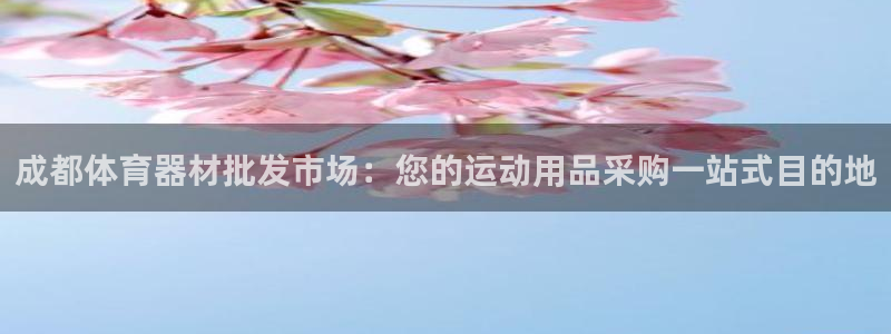 极悦平台登录最新版本更新内容是什么：成都体育器材批发