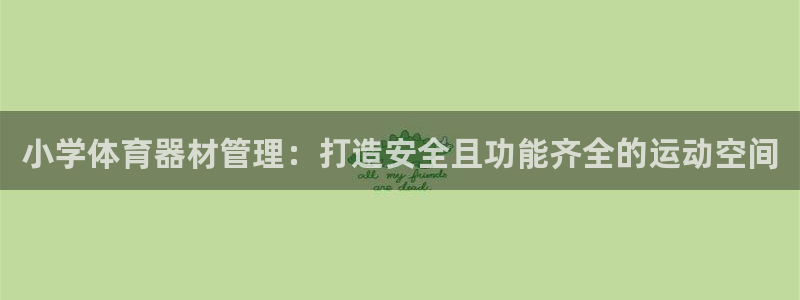 极悦娱乐贴吧百度：小学体育器材管理：打造安全且功能齐