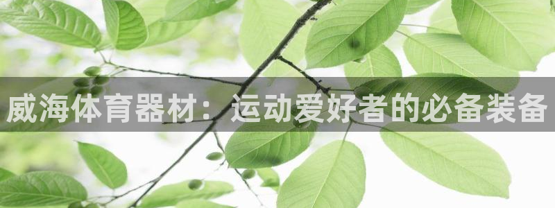 极悦平台注册失败如何解决：威海体育器材：运动爱好者的