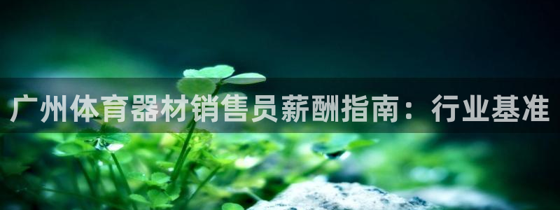 极悦平台是什么公司