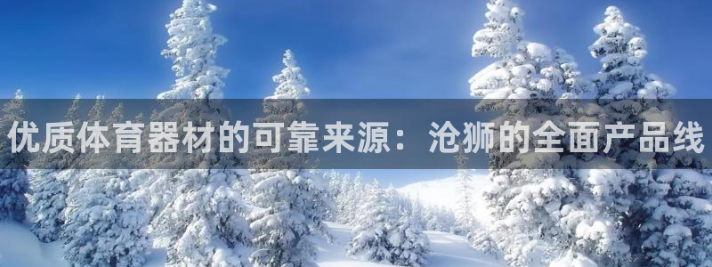 极悦平台登录入口注册:优质体育器材的可靠来源:沧狮的全面产品