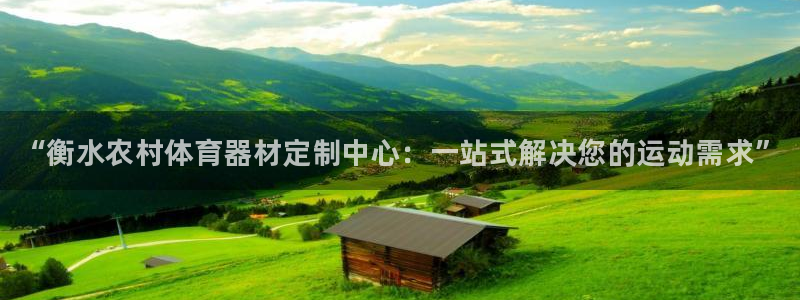 极悦平台app二维码怎么弄到桌面:“衡水农村体育器材定制中心